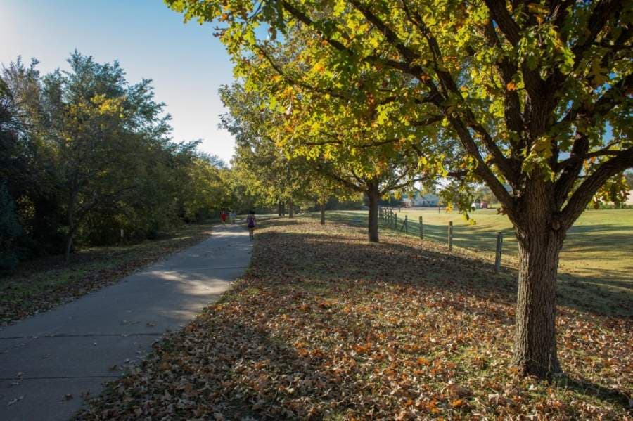 Pflugerville named a Keep Texas Beautiful gold star affiliate for environmental conservation efforts