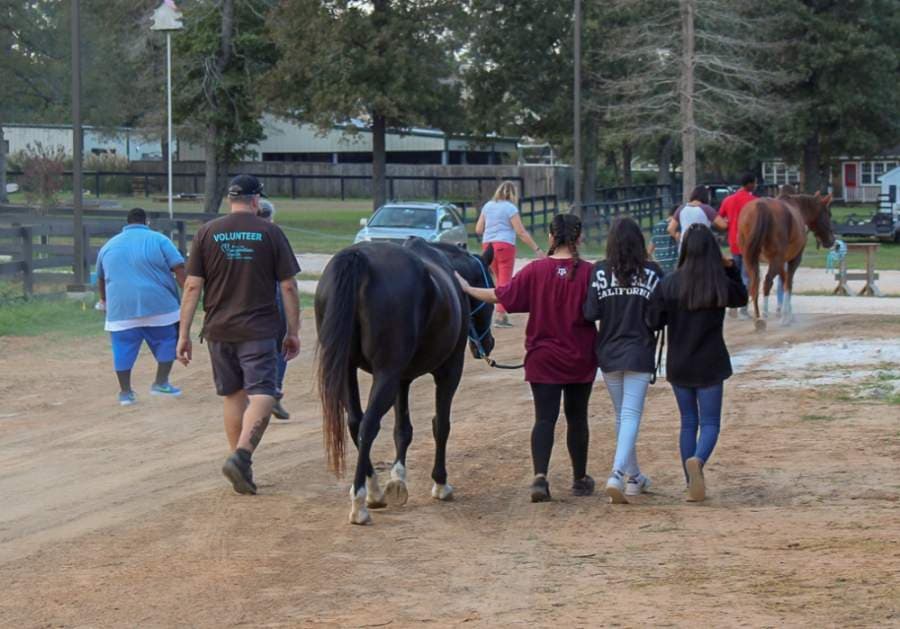 Equine therapy center, Inspiration Ranch, expands access amid coronavirus pandemic