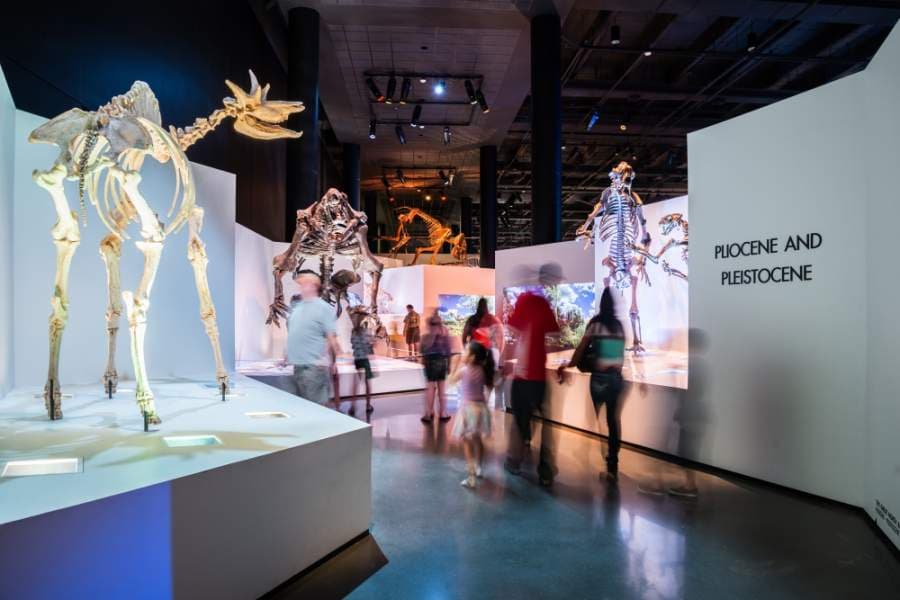 Houston Museum of Natural Science-Sugar Land to remain closed as main location plans reopening