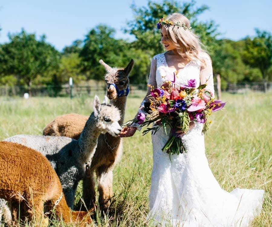 Governor's guidelines give Southwest Austin and Dripping Springs wedding vendors the go-ahead for limited seating events