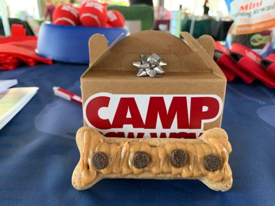 Camp Bow Wow to open in May in Pearland