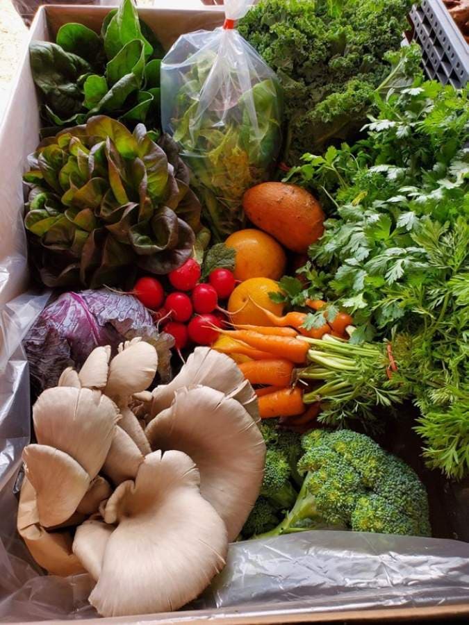 Innovation amid a crisis: Local farms, markets find new ways to distribute produce