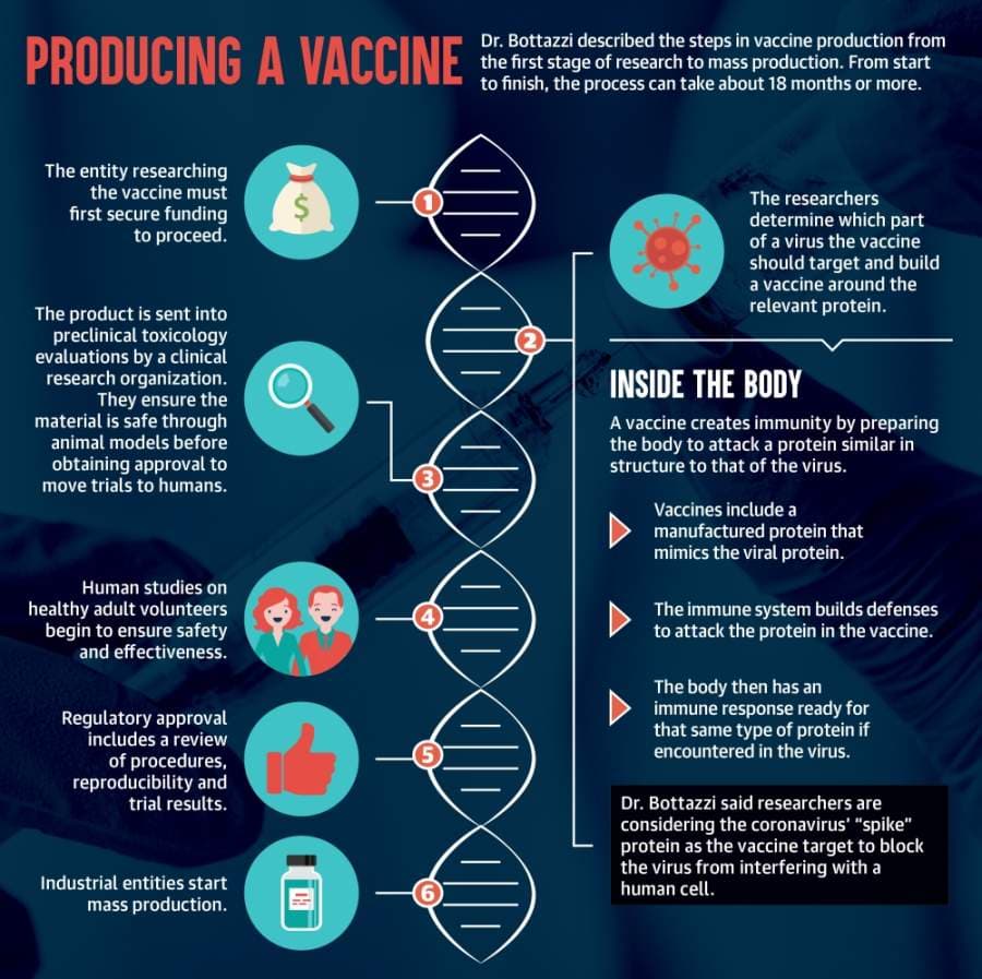 A path to protection: Vaccine prospects for COVID-19