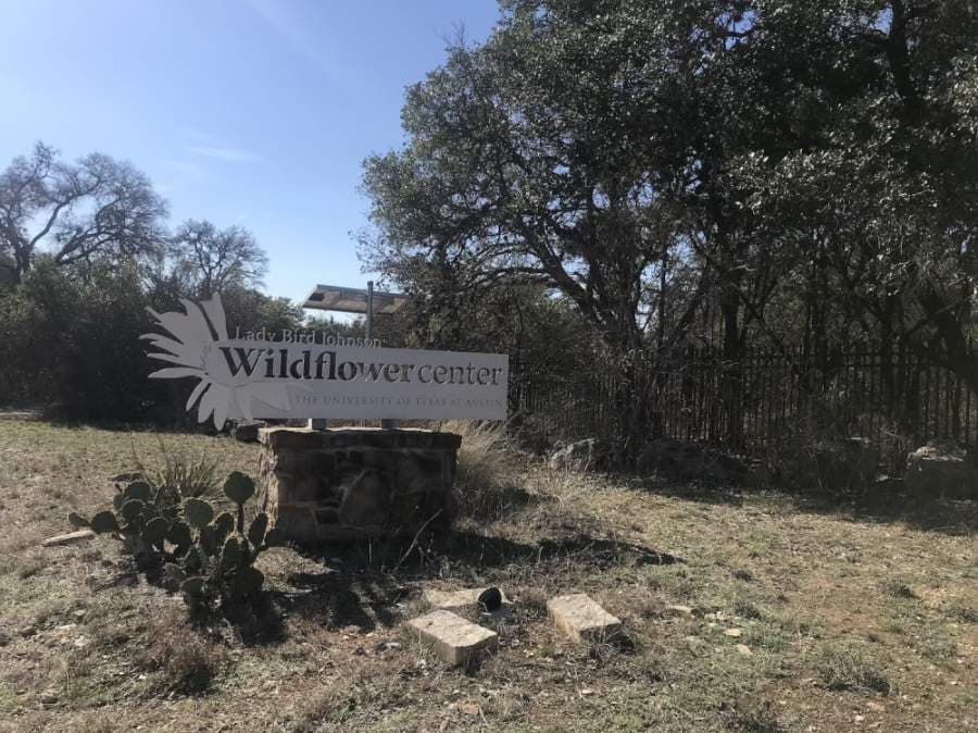 Four virtual events to attend this weekend, hosted by Southwest Austin and Dripping Springs businesses