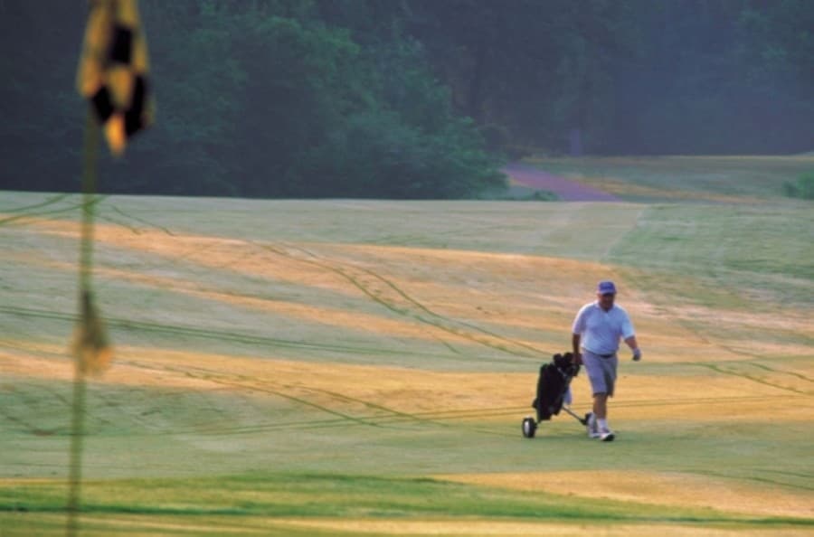 Houston golf courses, tennis courts to reopen June 1