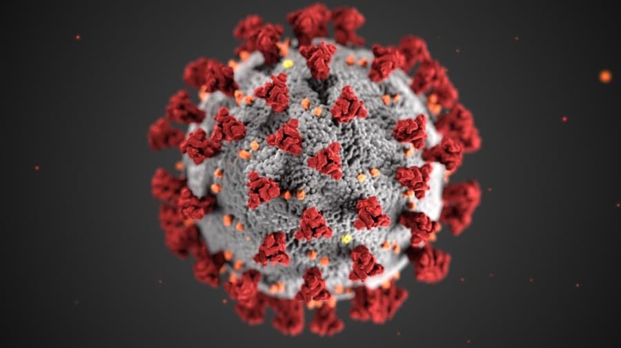 National study predicts June coronavirus spike in Houston area