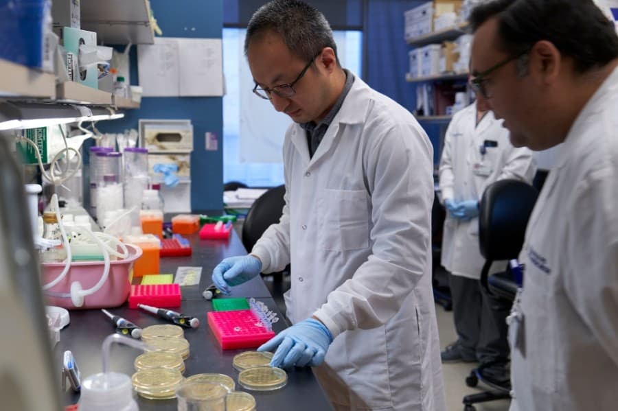 Greater Houston-area health systems examine plasma transfusion as possible COVID-19 treatment