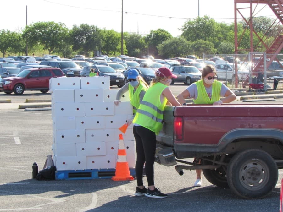 Volunteers loaded cars and trucks with groceries. (Nicholas Cicale/Community Impact Newspaper)