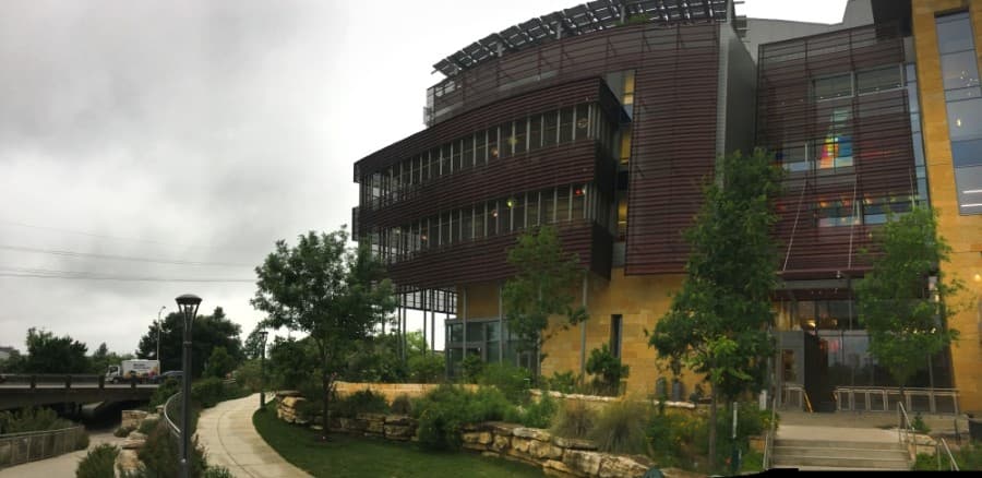 Austin libraries, in-person pet adoptions to begin reopening June 1