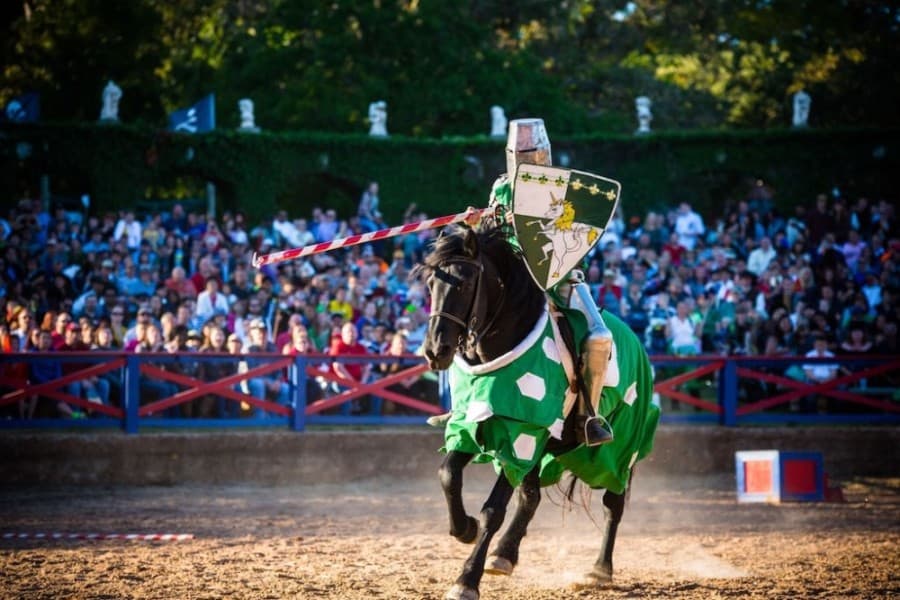 Texas Renaissance Festival announces tentative modifications for 2020 season