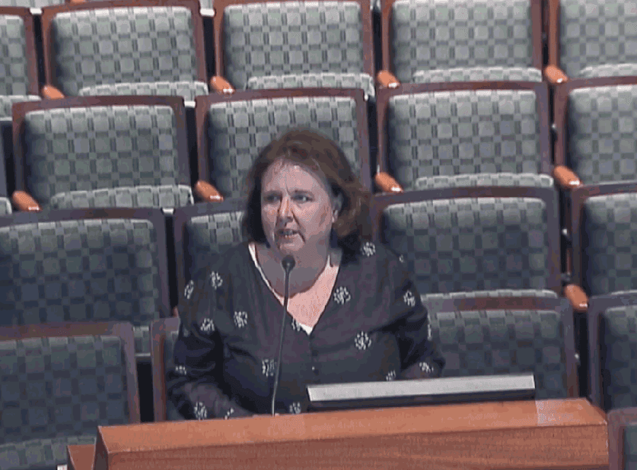 Director of Financial Services Anita Cothran said Frisco Family Services will receive $110,000 of the funding for food cards. (Screenshot courtesy city of Frisco)