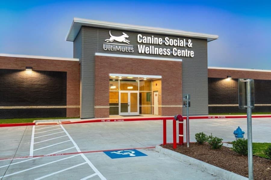 Canine retreat UltiMutts opens in McKinney