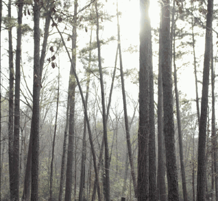 Sam Houston Trails Coalition seeks new, gently used shoes to fundraise for bridge repairs