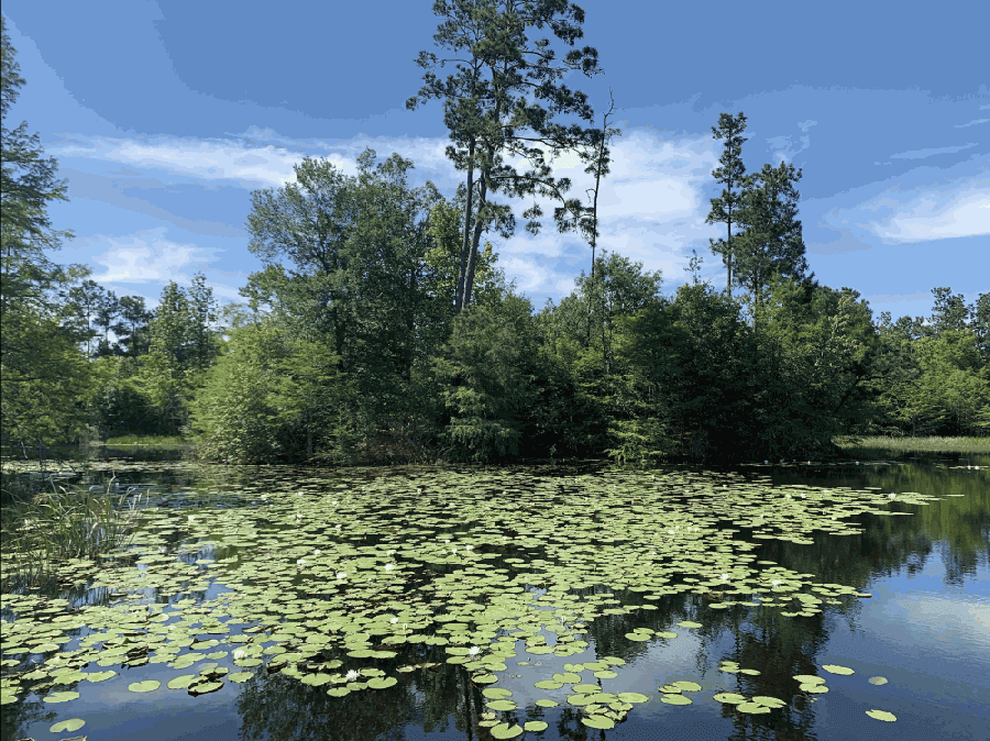 The new Atascocita Park features a boardwalk overlooking a 2-acre natural lake. (Courtesy Harris County Precinct 2)