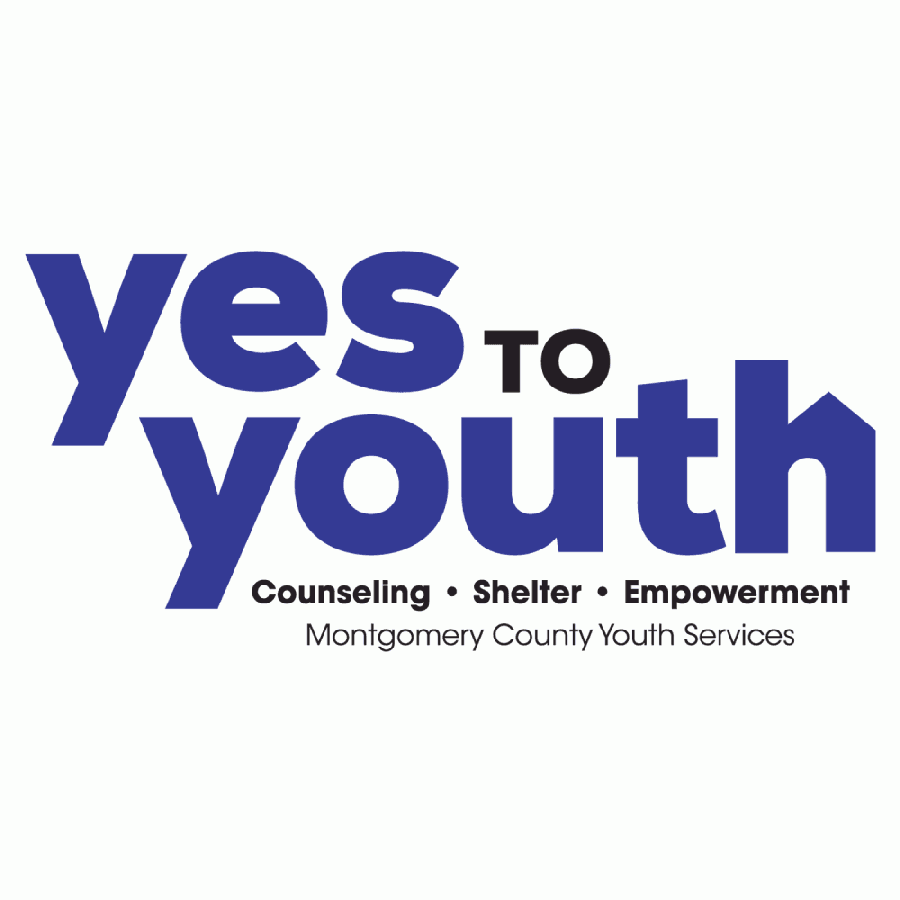 Fourth annual Shelter for Shelter to feature virtual fundraiser