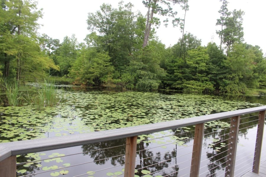 The park features a 2-acre natural pond with a boardwalk. (Kelly Schafler/Community Impact Newspaper)