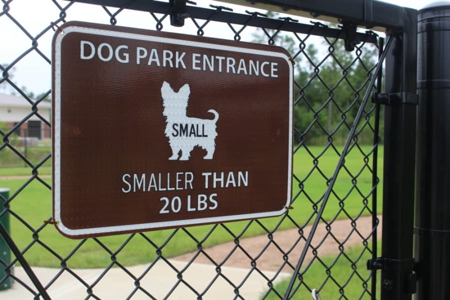The park features a 1.5-acre dog park for big and small dogs. (Kelly Schafler/Community Impact Newspaper)