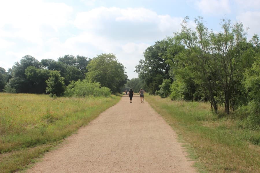 Travis County to close parks for holiday weekend; county judge calls on other Texas officials to step up safety procedures