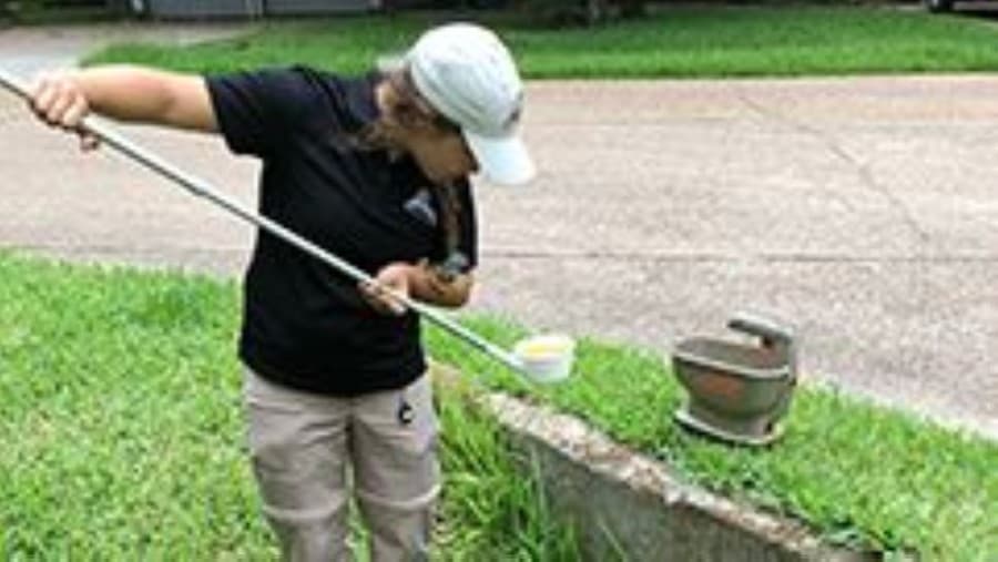 More West Nile-positive mosquito samples found in The Woodlands