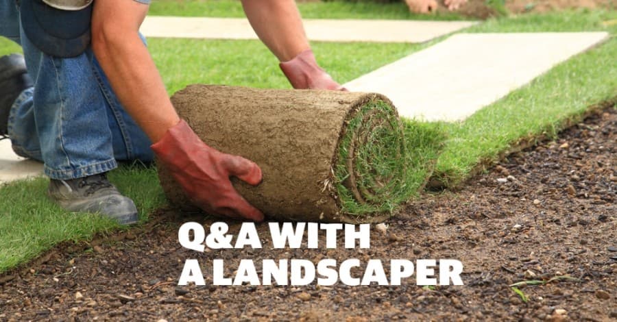 Landscaping tips, tricks from Porter-based business YardBirds Landscaping Inc.
