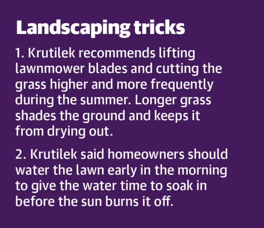 Landscaping tricks and tips from a landscaper