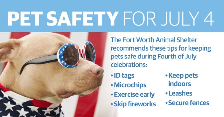 How to keep your pets safe on July 4