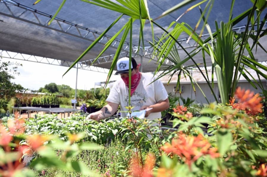 Garden Seventeen opens its doors in North Central Austin