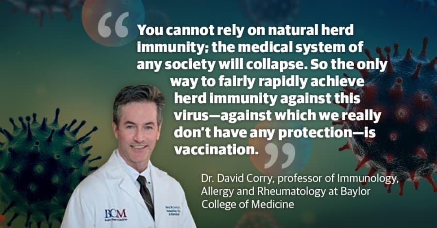 Q&A: Baylor College of Medicine's Dr. David Corry discusses immunity, vaccine production amid COVID-19 pandemic