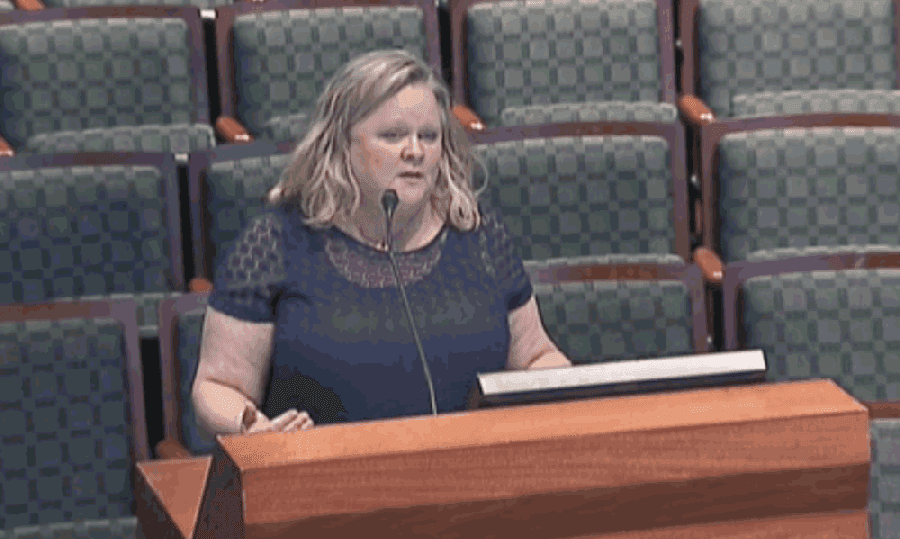 Jennifer Wade, acting president of Frisco Arts, spoke on behalf of the organization during the July 7 Frisco City Council meeting. (Screenshot courtesy city of Frisco)