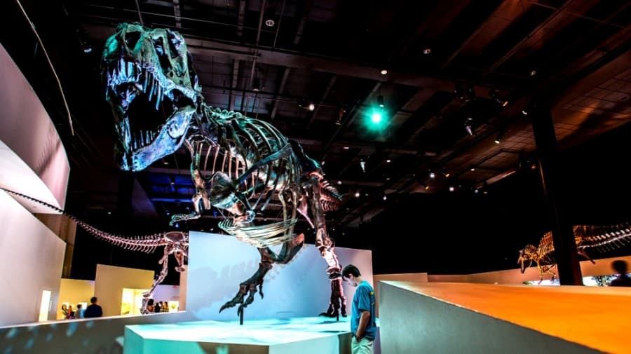 Houston Museum of Natural Science names new director for HMNS—Sugar Land, George Observatory