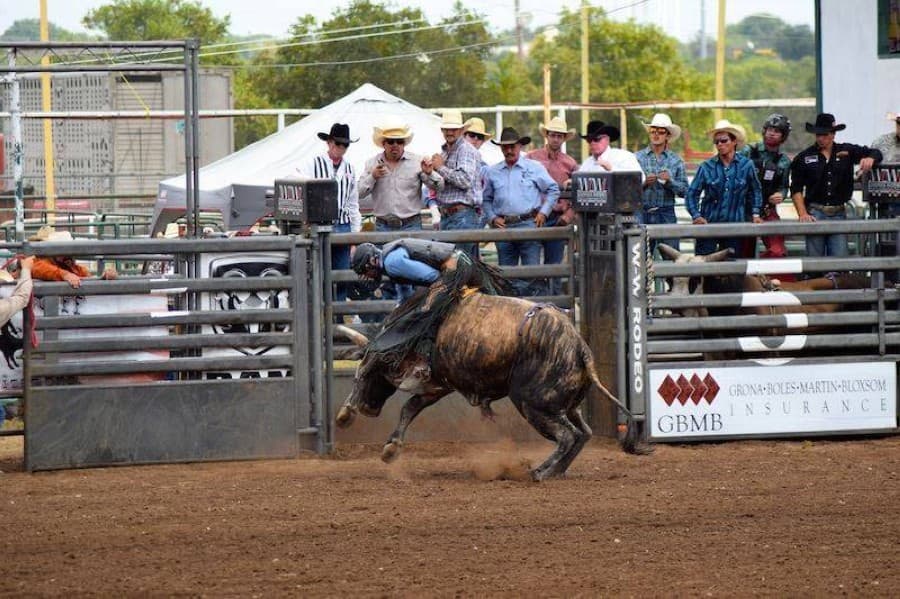 2020 Comal County Fair and Rodeo canceled