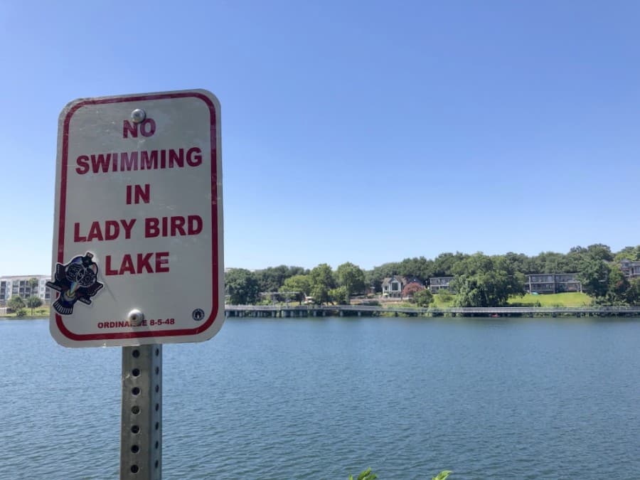 Toxic algae blooms found at Red Bud Isle, Festival Beach