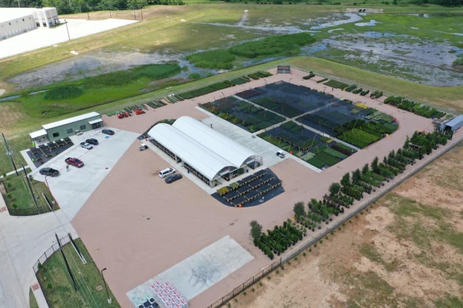 Newton Nurseries