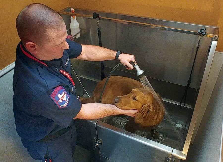 Lt. Jonathan Gilliam from the Georgetown Fire Department washes Koda, a certified therapy canine. (Courtesy Wag Heaven)