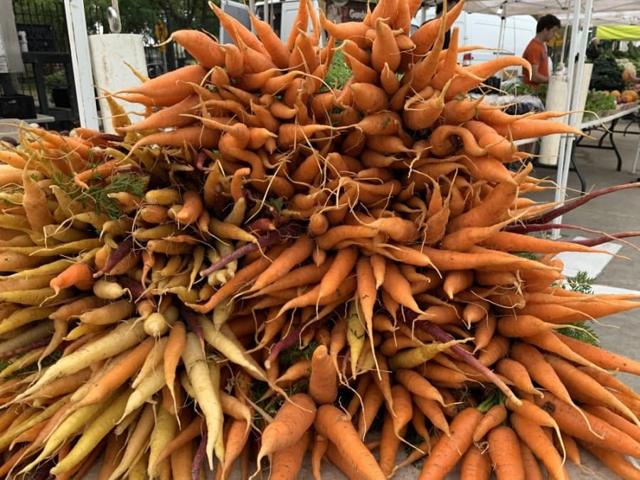 SNAP recipients can receive up to $30 match on produce at six Houston-area farmers markets 