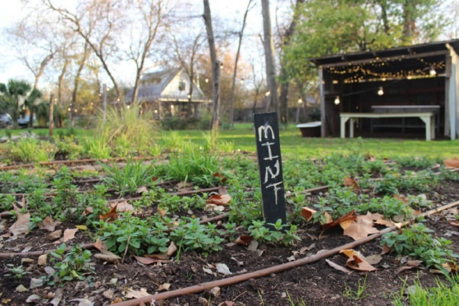 News from East Austin: Eden East farm moves to Bastrop, The Brewer's Table closes, Fukumoto celebrates anniversary and more
