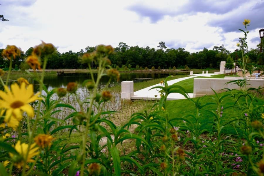 memorial park wildflowers