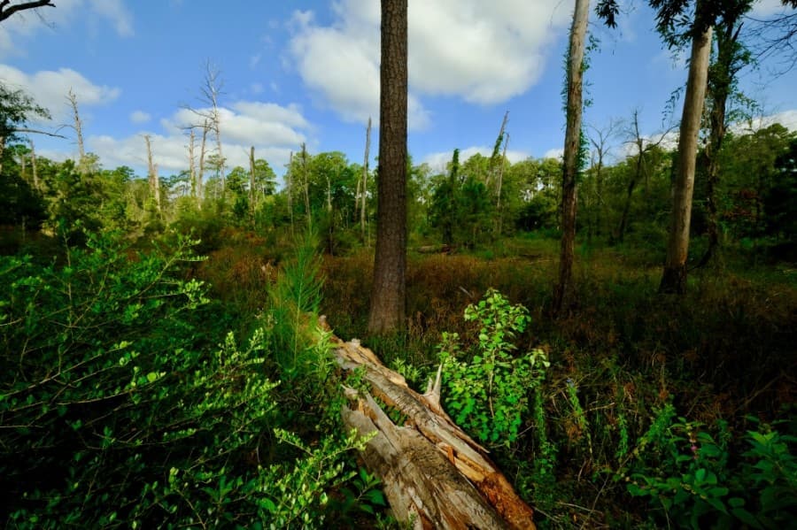 memorial park eastern glades