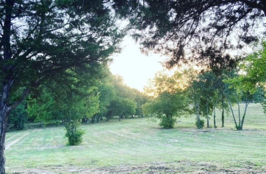 The Stix Icehouse coming to McKinney, Plano apartments to have grassy setback: Most popular news from DFW