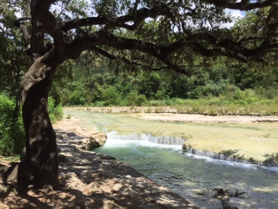 City Council moves to buy land, nix development on Spicewood Springs Road in Northwest Austin