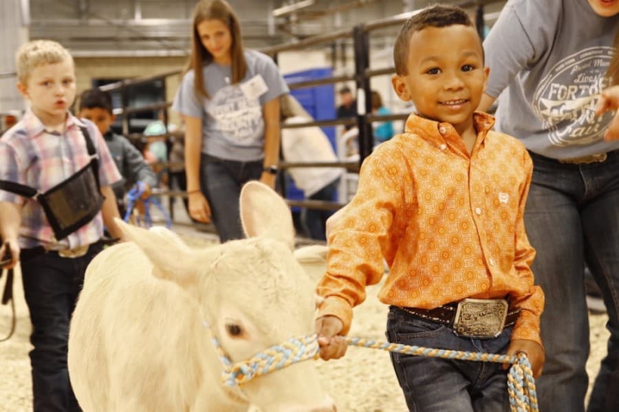 2020 Fort Bend County Fair canceled due to pandemic
