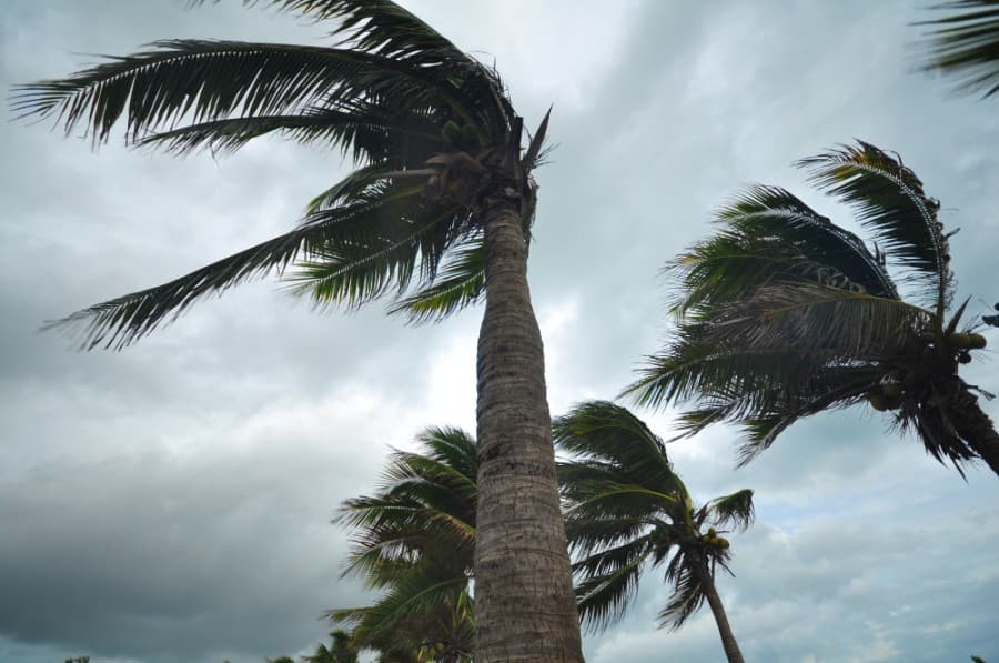 Friendswood issues hurricane warning
