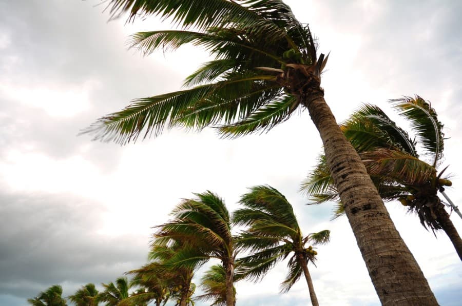 Hurricane Laura expected to reach Category 4 strength