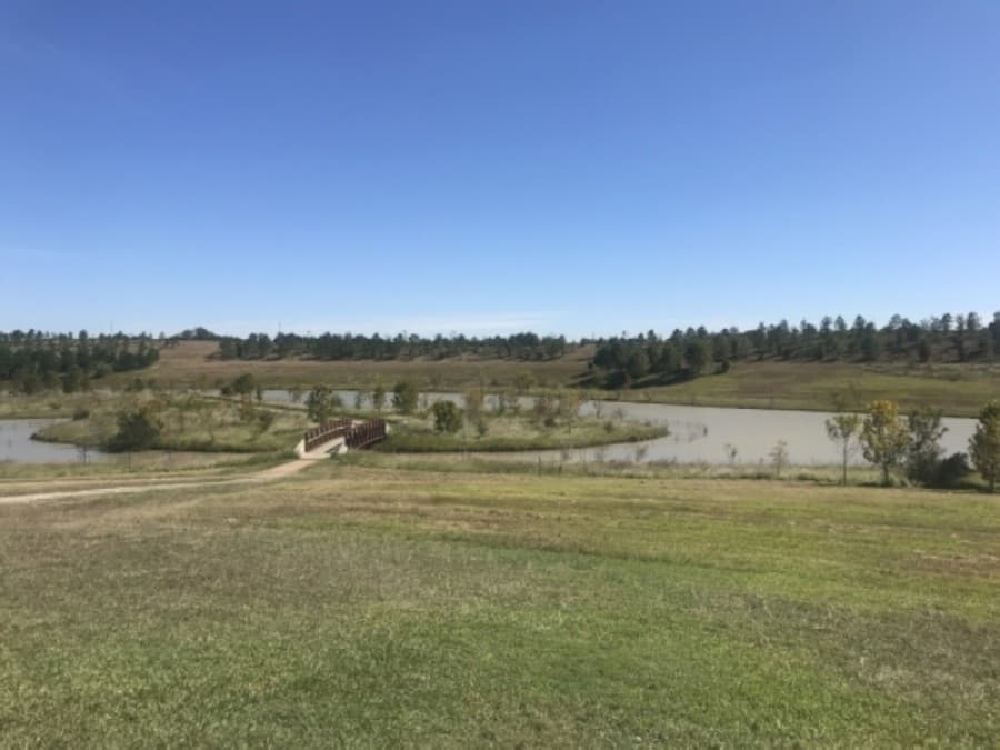 Houston City Council OKs new detention basin near Willow Waterhole