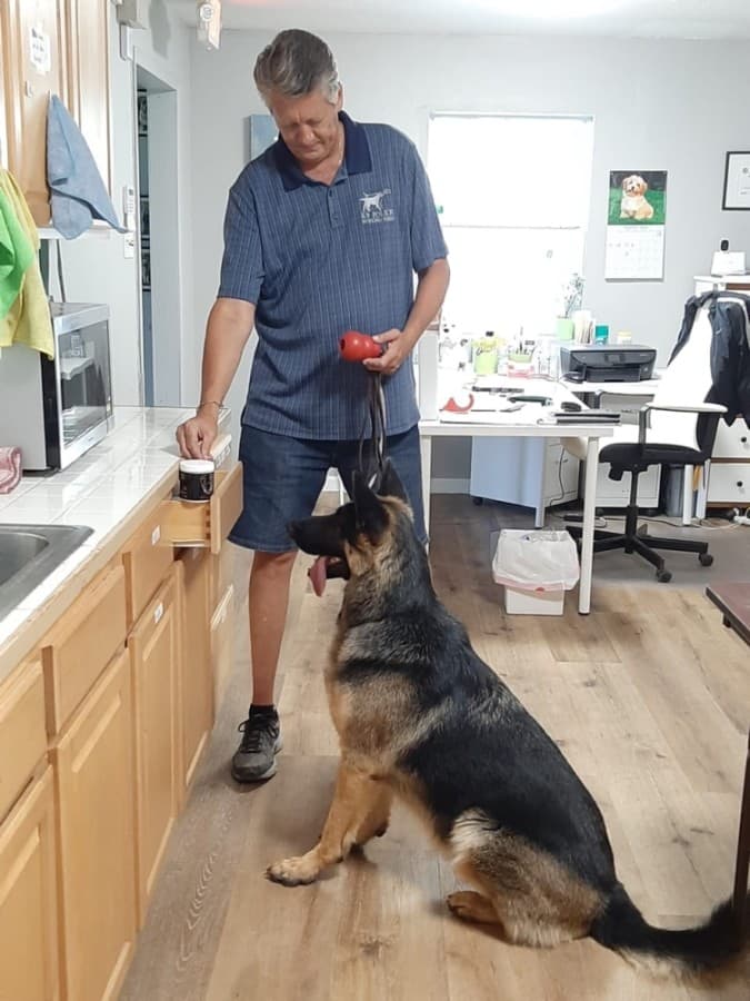Owner and operator Manuel Buchanan works on a training exercise with a guest dog. (Courtesy K9 PW Training and Boarding)