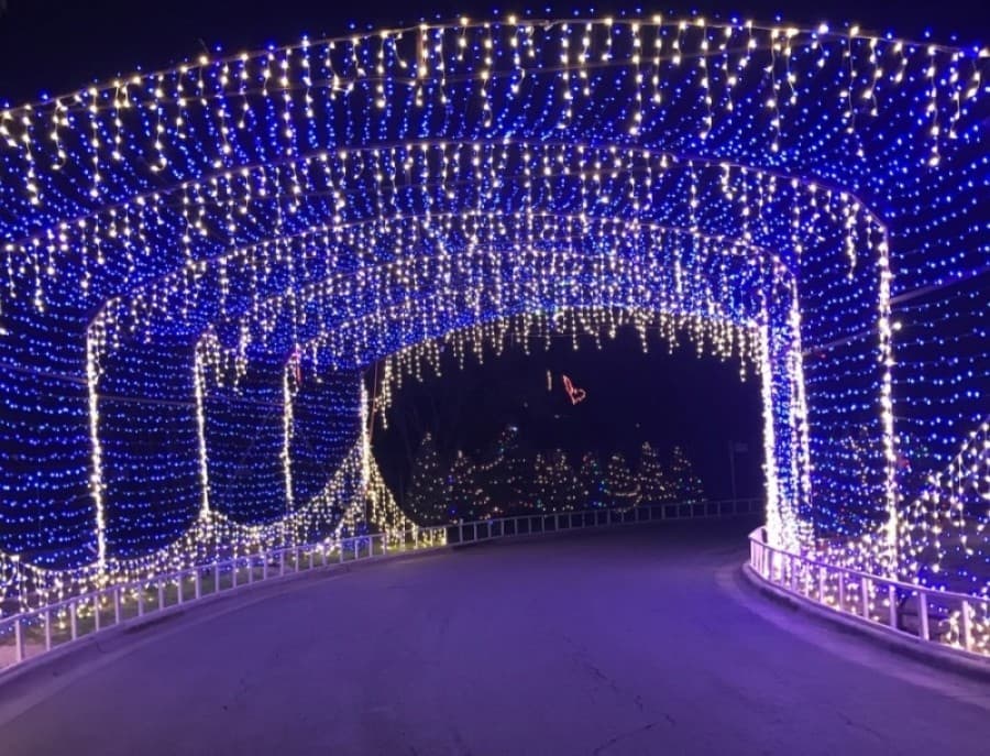 Austin Trail of Lights may be drive-thru in 2020 and more popular Central Texas news