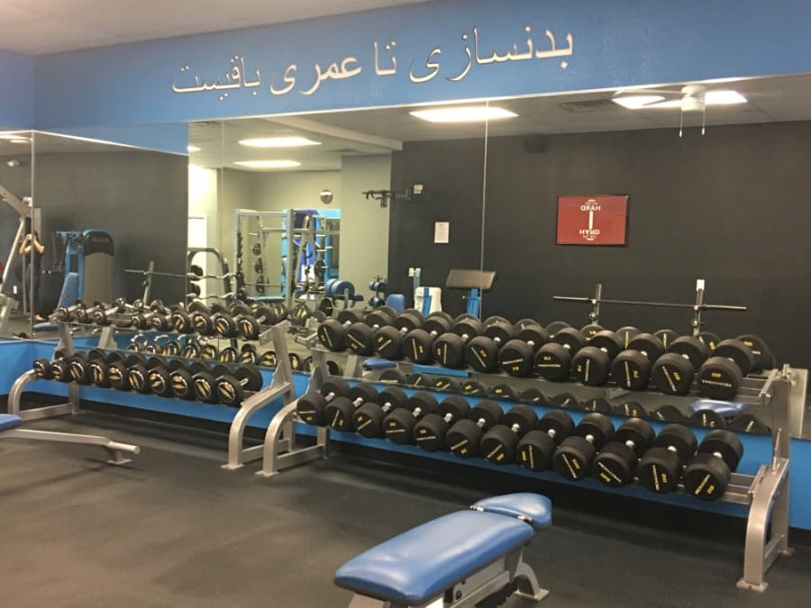 StrongFound Personal Training has a quotation on the wall of the facility that when translated means “Body building until I draw my last breath.” Owner Khonsari is a body builder by trade and half-Iranian, which is why the quote is in Farsi. (Haley Morrison/Community Impact Newspaper)