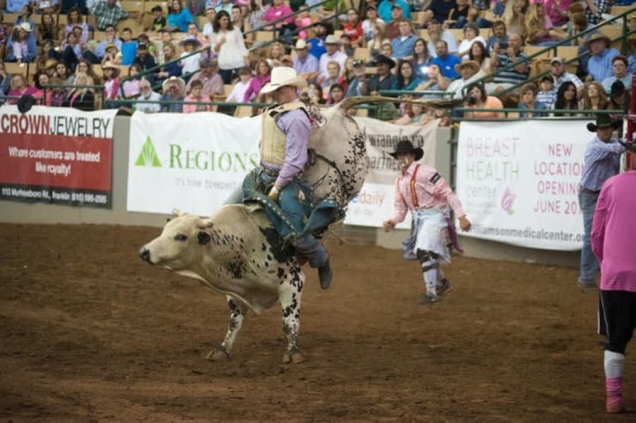Fort Worth Stock Show and Rodeo canceled due to COVID-19