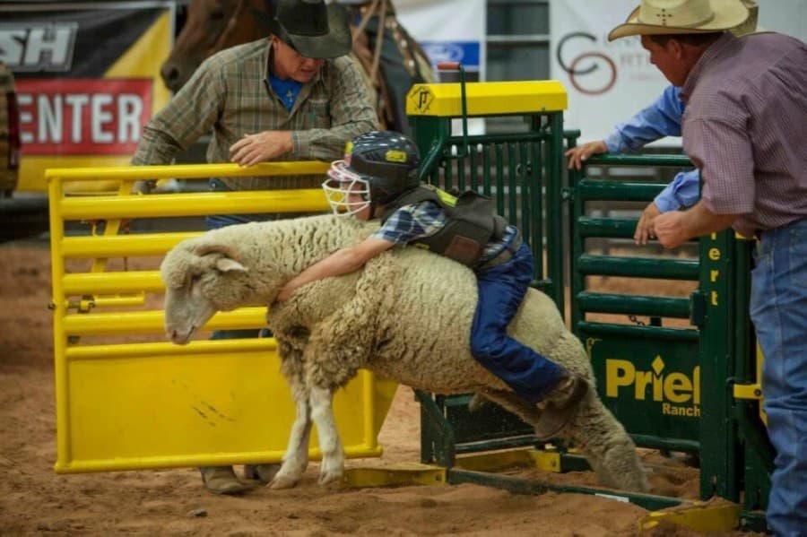 Dripping Springs rodeo returns, Disc Nation moves and more Southwest Austin business news