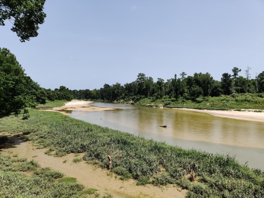 Study: Bacteria levels in Spring Creek watershed could double by 2045, led by dog, wildlife and on-site sewage waste
